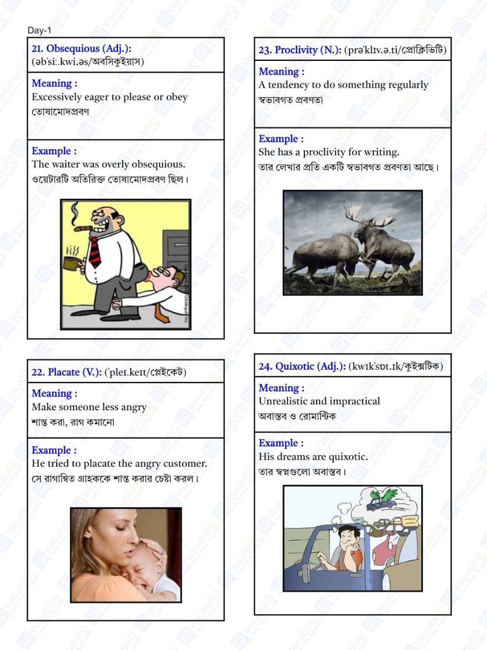 Vocabulary Words Sample